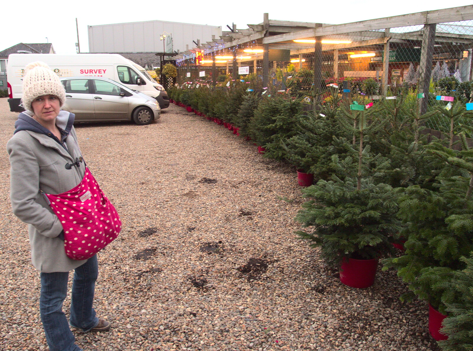 Isobel inspects some trees from The BSCC Christmas Dinner, and a Christmas Tree, Brome, Suffolk - 5th December 2015