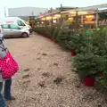 Isobel inspects some trees, The BSCC Christmas Dinner, and a Christmas Tree, Brome, Suffolk - 5th December 2015