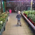 Harry roams around in Diss Garden Centre, The BSCC Christmas Dinner, and a Christmas Tree, Brome, Suffolk - 5th December 2015