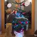 Harry helps to decorate the new tree, The BSCC Christmas Dinner, and a Christmas Tree, Brome, Suffolk - 5th December 2015