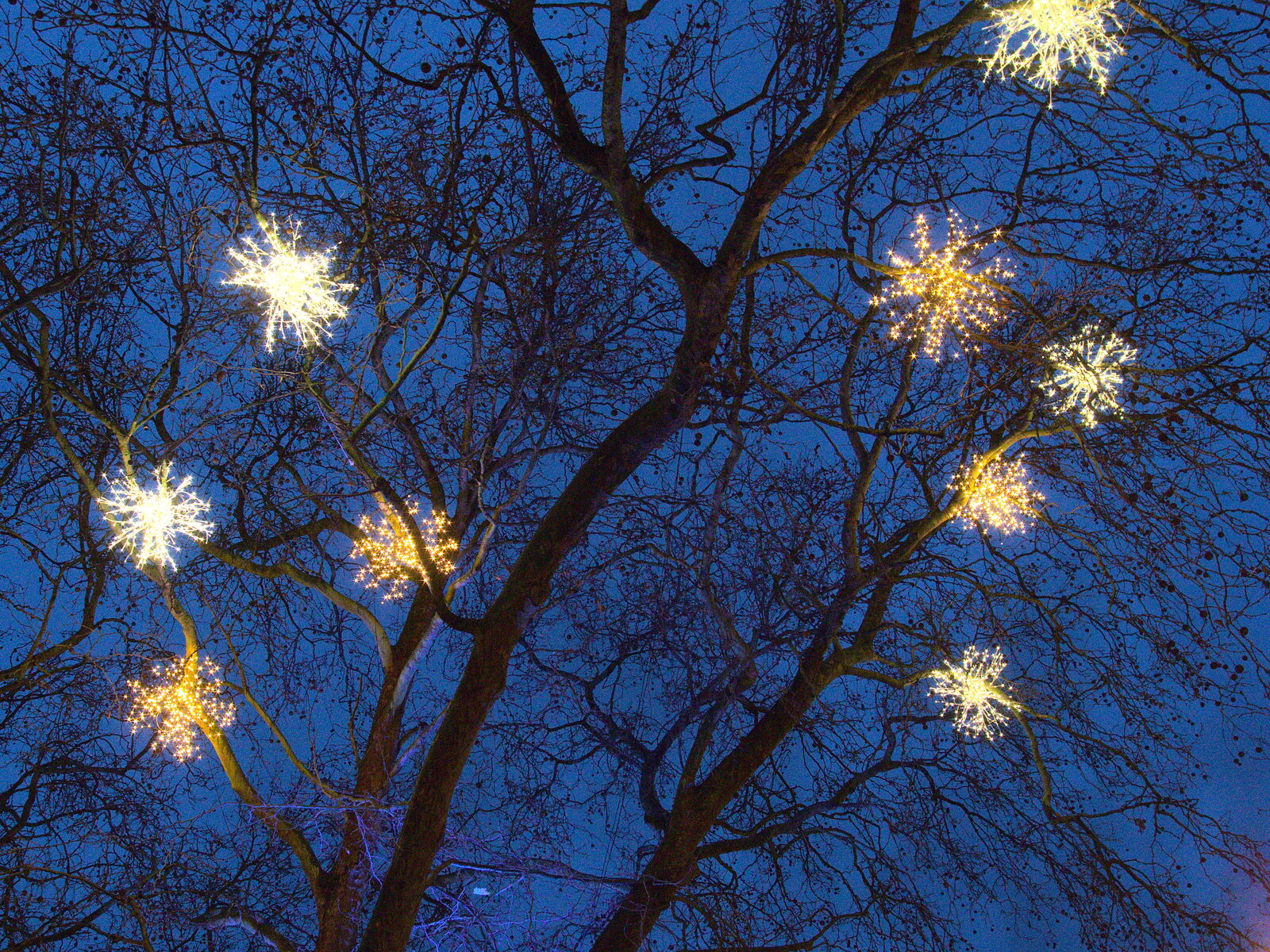 Lights in the trees look like frozen fireworks from Southwark, Norwich, and a Power Cut, London, Norfolk and Suffolk - 12th December 2015