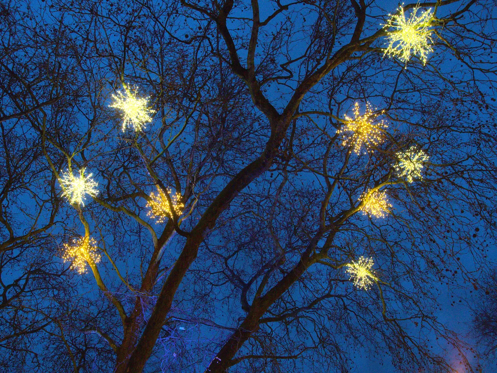 Lights in the trees look like frozen fireworks, from Southwark, Norwich, and a Power Cut, London, Norfolk and Suffolk - 12th December 2015