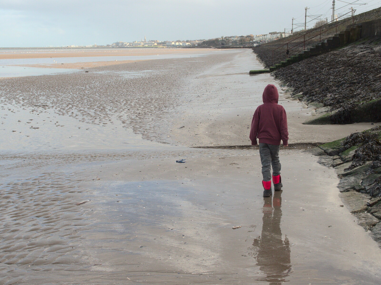 Fred wanders up the beach from Christmas Eve in Dublin and Blackrock, Ireland - 24th December 2015