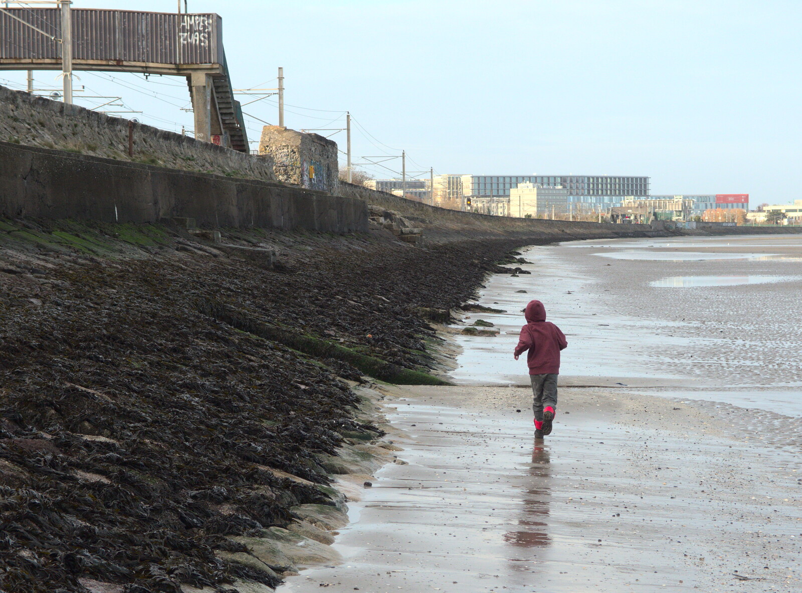 Fred runs off up the beach from Christmas Eve in Dublin and Blackrock, Ireland - 24th December 2015