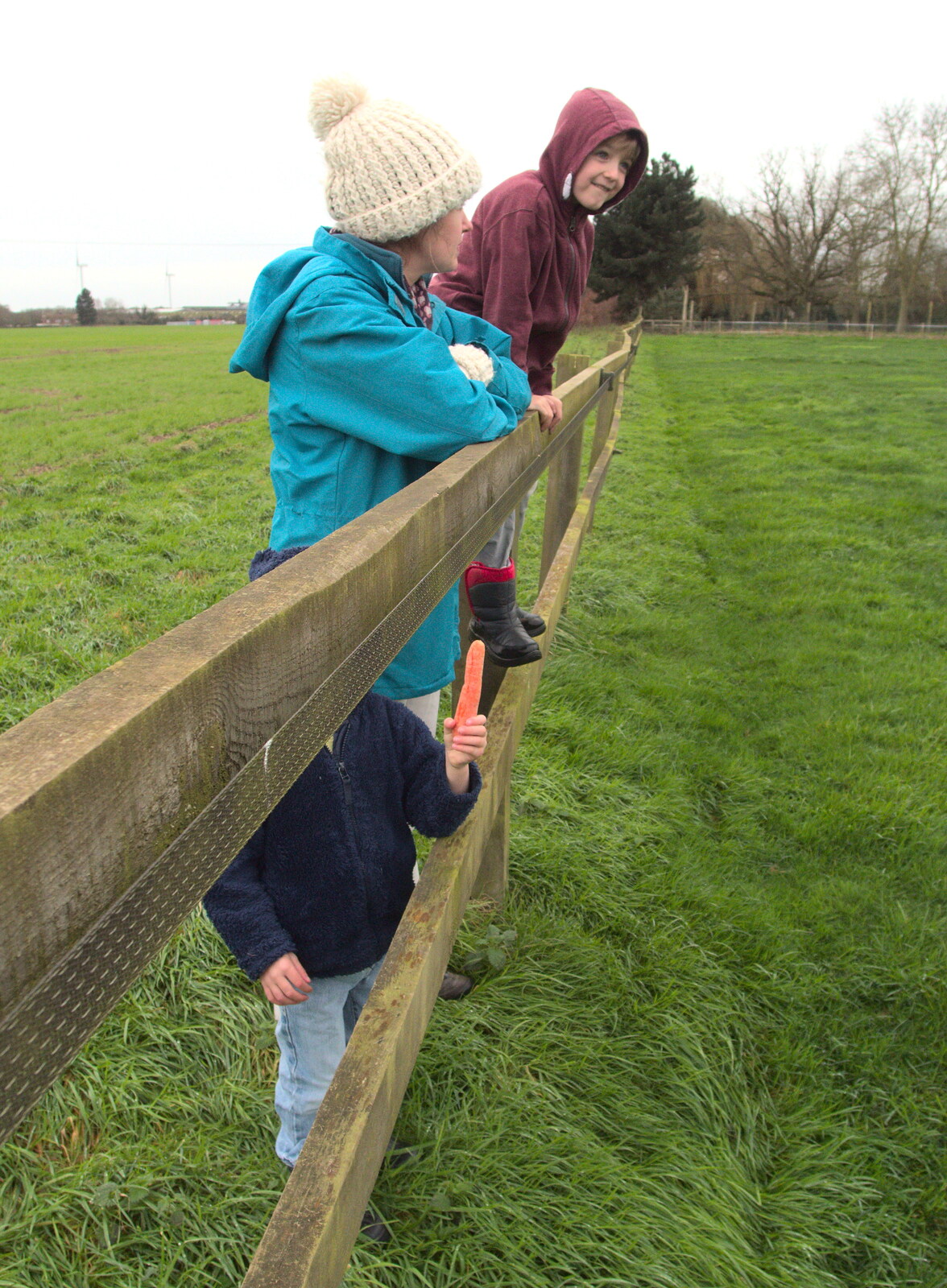 We hang out on Chinner's fence from New Year's Eve With The BBs, The Barrel, Banham, Norfolk - 31st December 2015