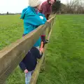 We hang out on Chinner's fence, New Year's Eve With The BBs, The Barrel, Banham, Norfolk - 31st December 2015