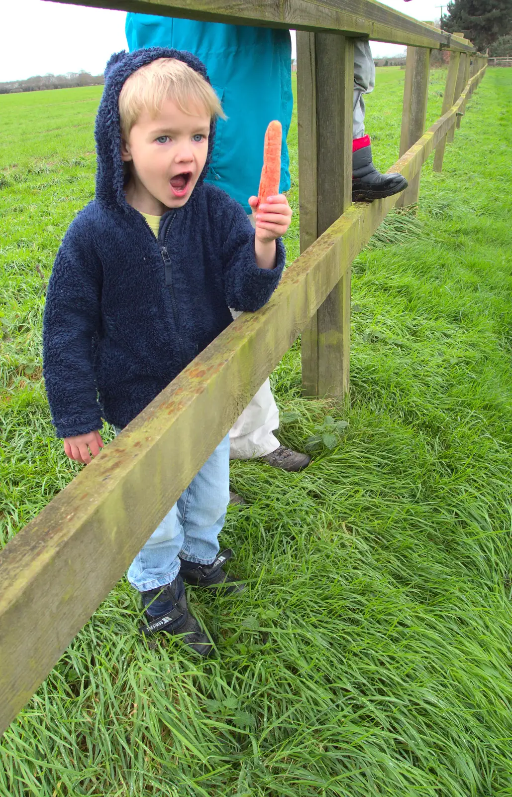 Harry tries to get Chinner over with a carrot, from New Year's Eve With The BBs, The Barrel, Banham, Norfolk - 31st December 2015