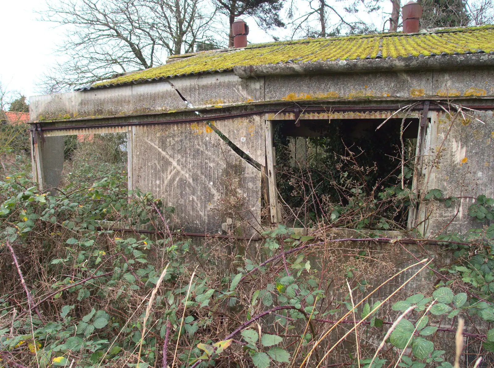 The derelict chicken shed, from New Year's Eve With The BBs, The Barrel, Banham, Norfolk - 31st December 2015