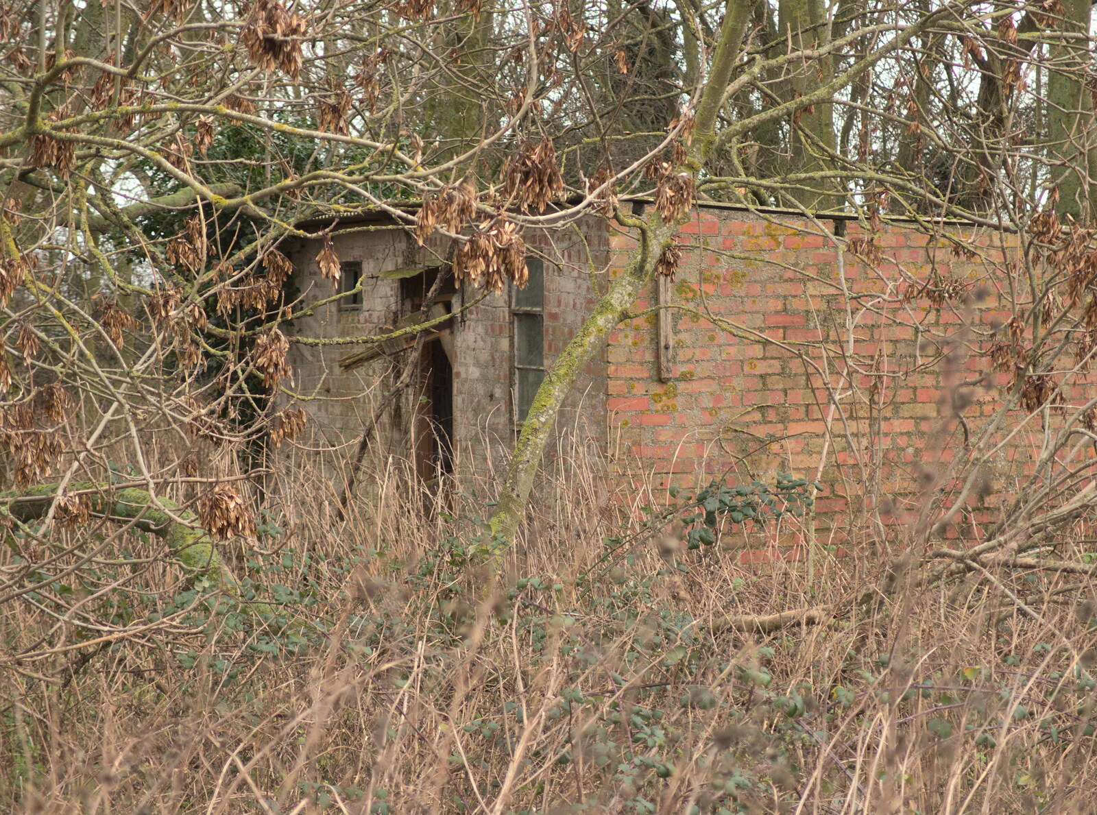 Another derelict building in the trees from New Year's Eve With The BBs, The Barrel, Banham, Norfolk - 31st December 2015