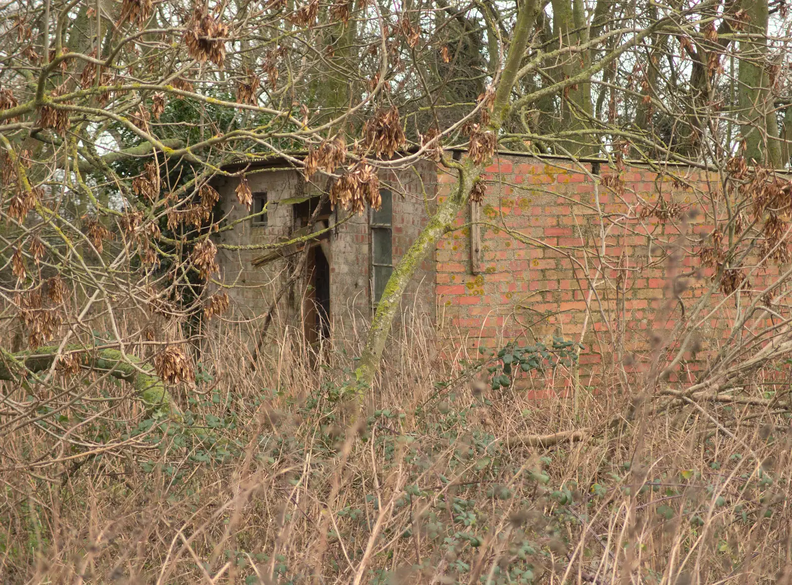 Another derelict building in the trees, from New Year's Eve With The BBs, The Barrel, Banham, Norfolk - 31st December 2015