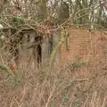 Another derelict building in the trees, New Year's Eve With The BBs, The Barrel, Banham, Norfolk - 31st December 2015