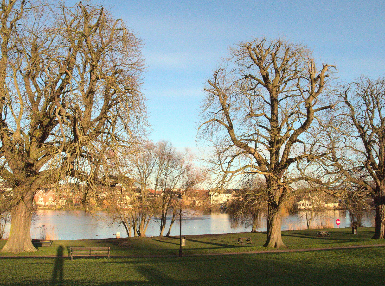 Bare trees by the Mere from Ten-Pin Bowling, Riverside, Norwich - 3rd January 2016