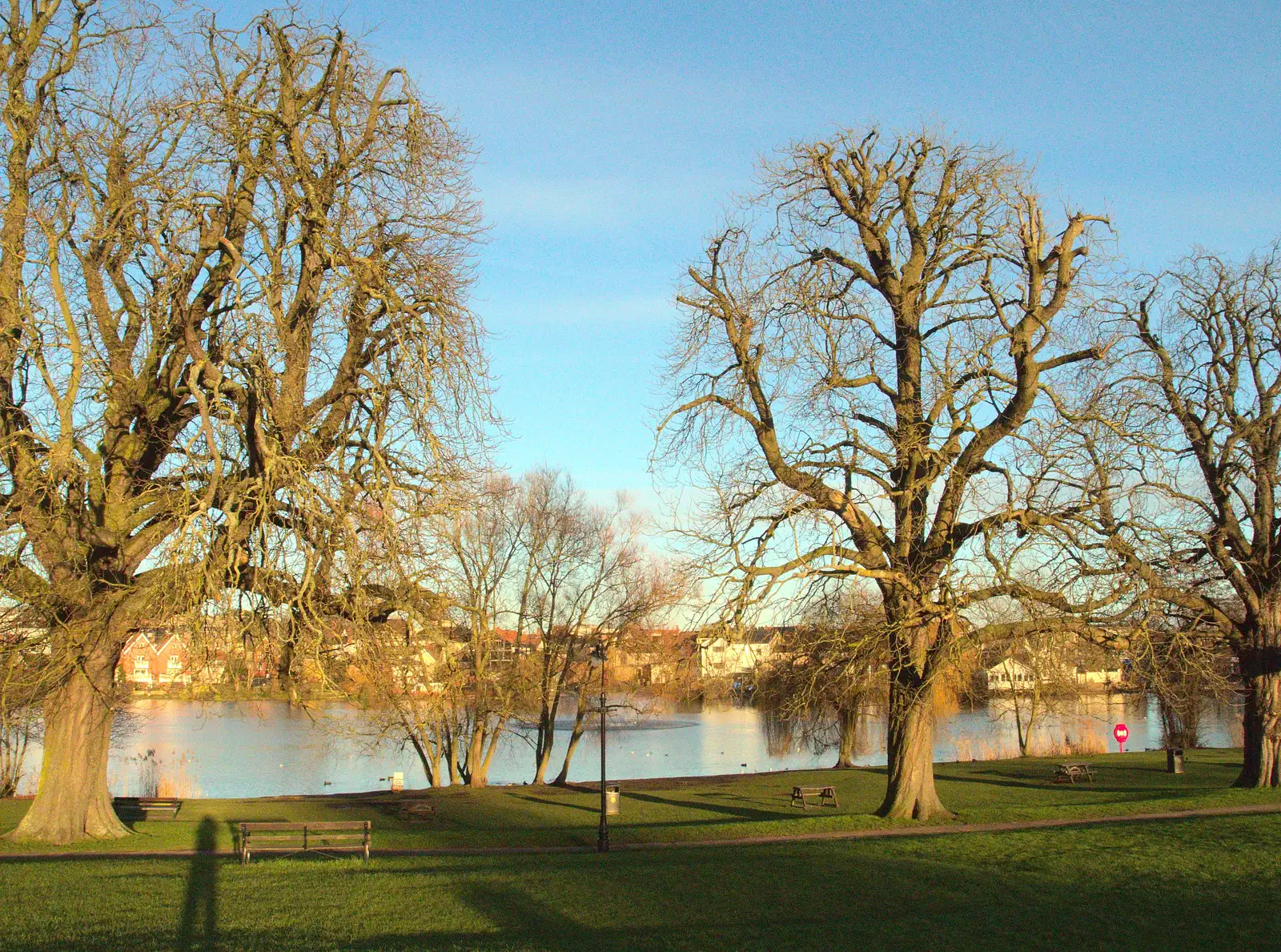 Bare trees by the Mere, from Ten-Pin Bowling, Riverside, Norwich - 3rd January 2016