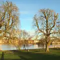 Bare trees by the Mere, Ten-Pin Bowling, Riverside, Norwich - 3rd January 2016