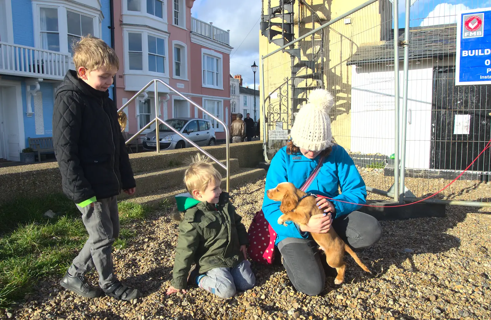 Isobel gets a go of a golden Spaniel puppy, from A Trip to Aldeburgh, Suffolk - 7th February 2016