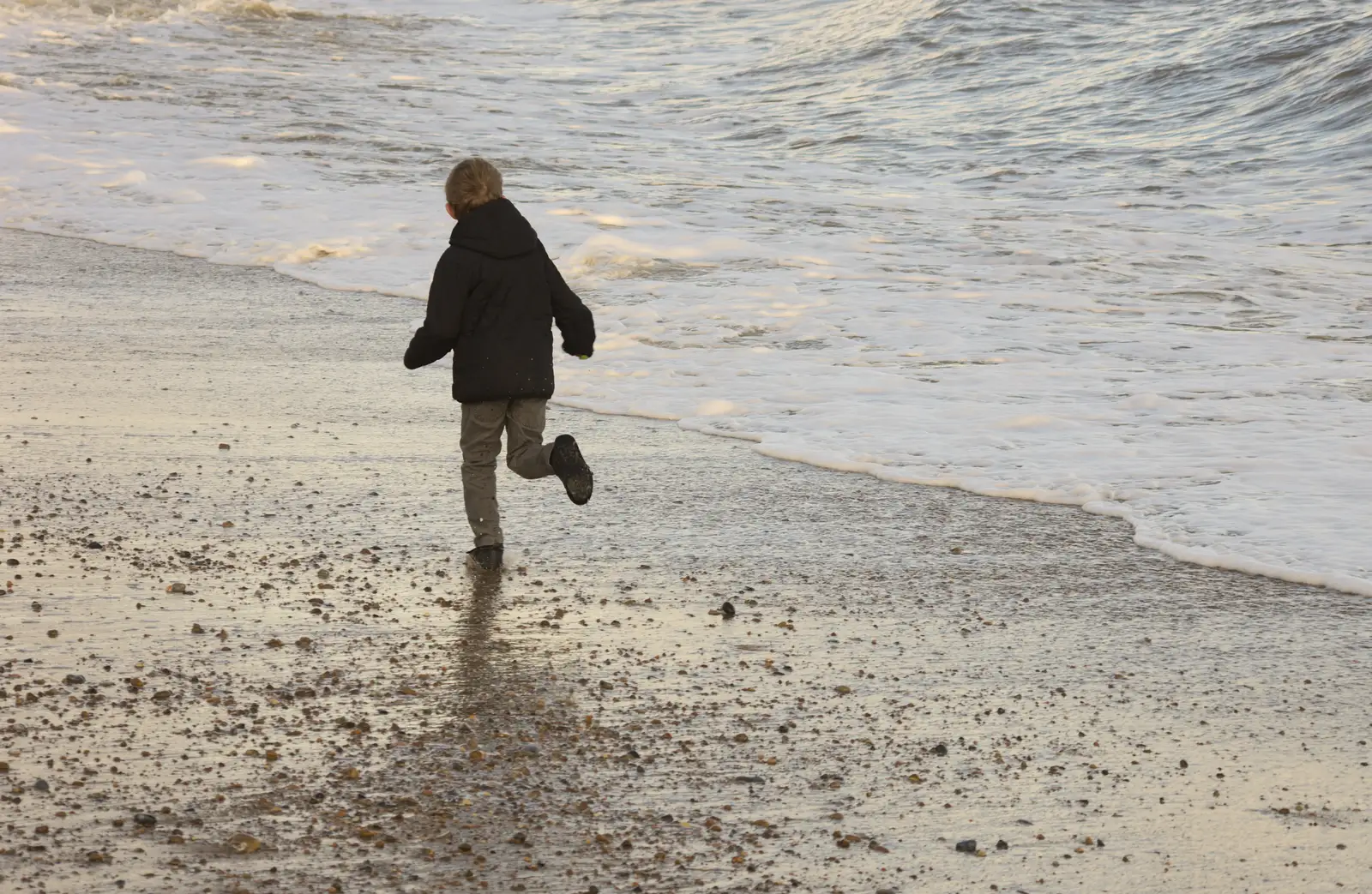 Fred tries his best to get wet, from A Trip to Aldeburgh, Suffolk - 7th February 2016