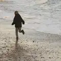 Fred tries his best to get wet, A Trip to Aldeburgh, Suffolk - 7th February 2016