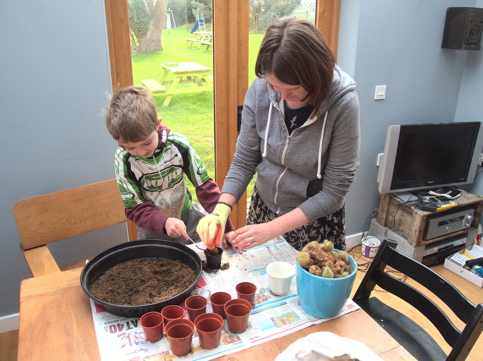 February Cactus Randomness, London and Brome, Suffolk - 14th February 2016: Fred and Isobel pot up some cacti