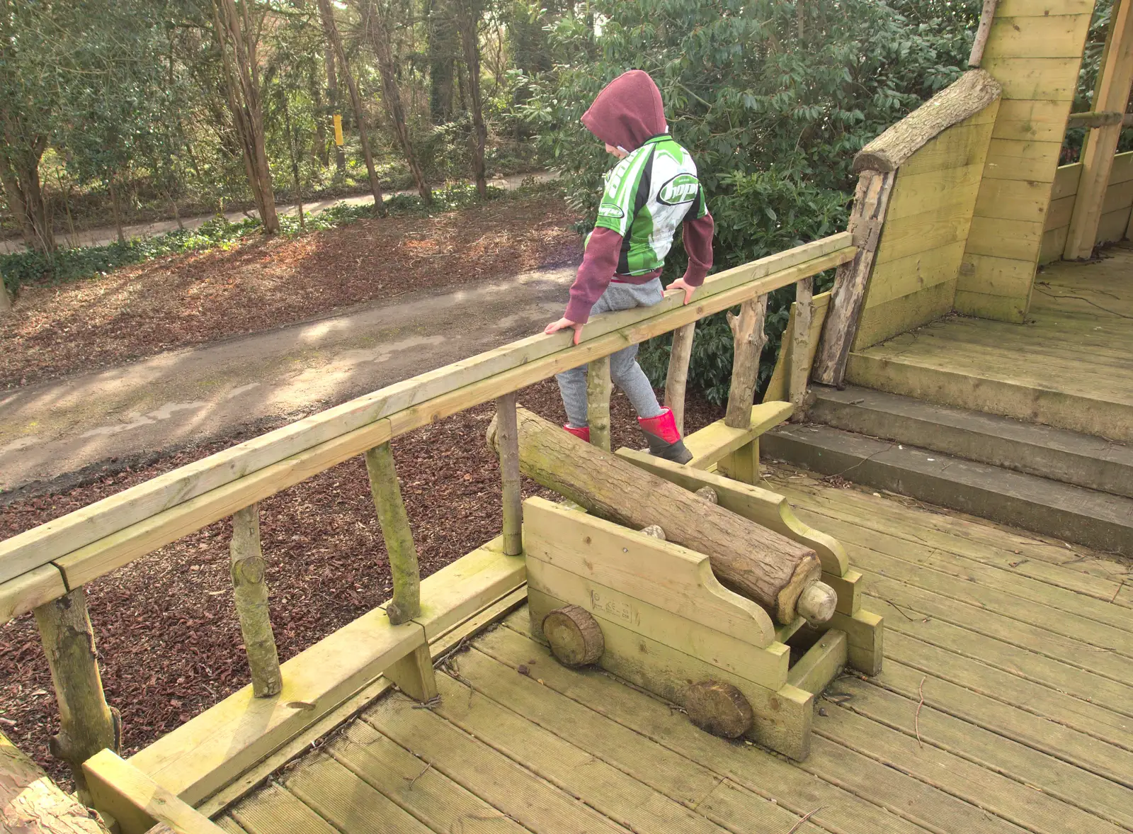 Fred gets ready to jump off, from February Cactus Randomness, London and Brome, Suffolk - 14th February 2016