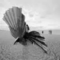 Fred climbs around on the shell, Days on the Beach: Dunwich and Aldeburgh, Suffolk - 15th February 2016