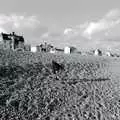 Fred climbs up the gravel cliff, Days on the Beach: Dunwich and Aldeburgh, Suffolk - 15th February 2016