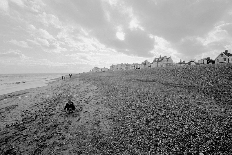 Harry pokes around on the beach from Days on the Beach: Dunwich and Aldeburgh, Suffolk - 15th February 2016