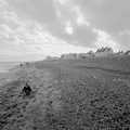Harry pokes around on the beach, Days on the Beach: Dunwich and Aldeburgh, Suffolk - 15th February 2016