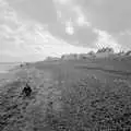 Harry pokes around on the beach, Days on the Beach: Dunwich and Aldeburgh, Suffolk - 15th February 2016