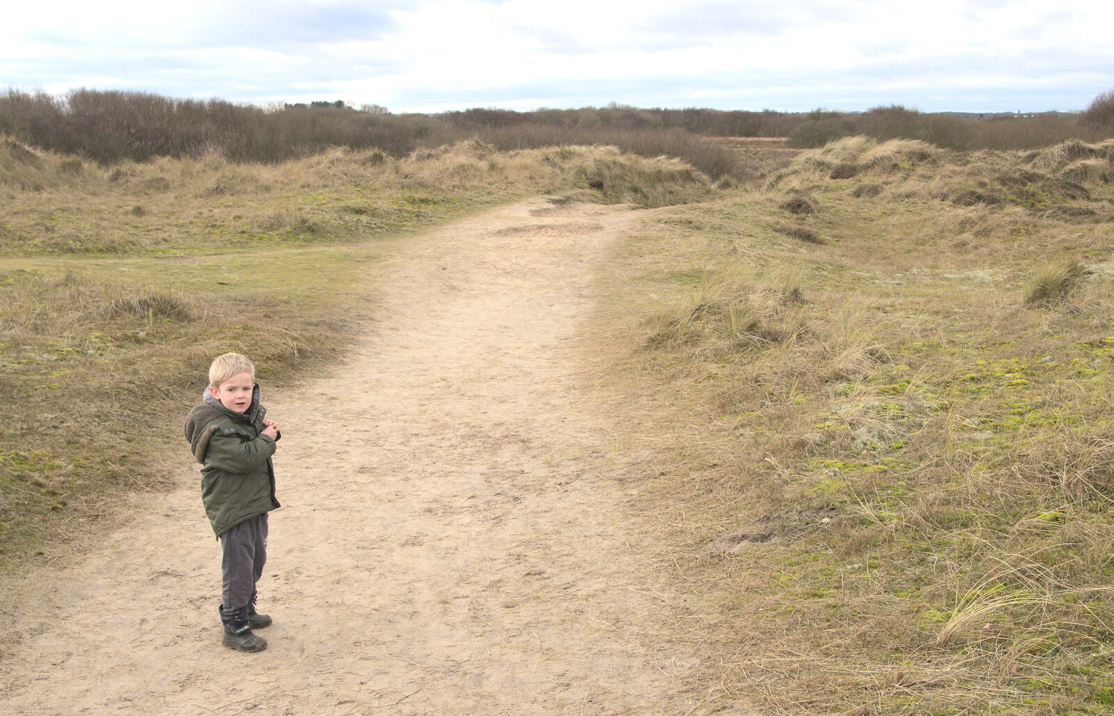 Harry looks hesitant on the path to the beach from The Seals of Horsey Gap, Norfolk - 21st February 2016