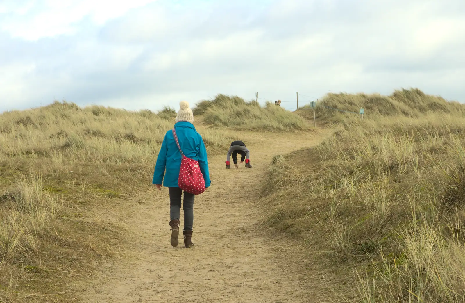 Fred digs sand up like a dog, from The Seals of Horsey Gap, Norfolk - 21st February 2016