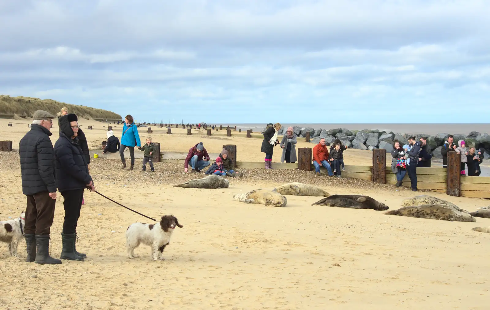 Isobel and Harry roam around at the back, from The Seals of Horsey Gap, Norfolk - 21st February 2016