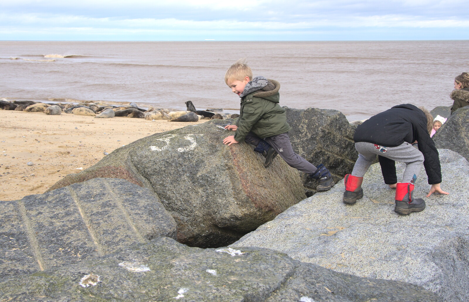 Harry and Fred on the rocks from The Seals of Horsey Gap, Norfolk - 21st February 2016