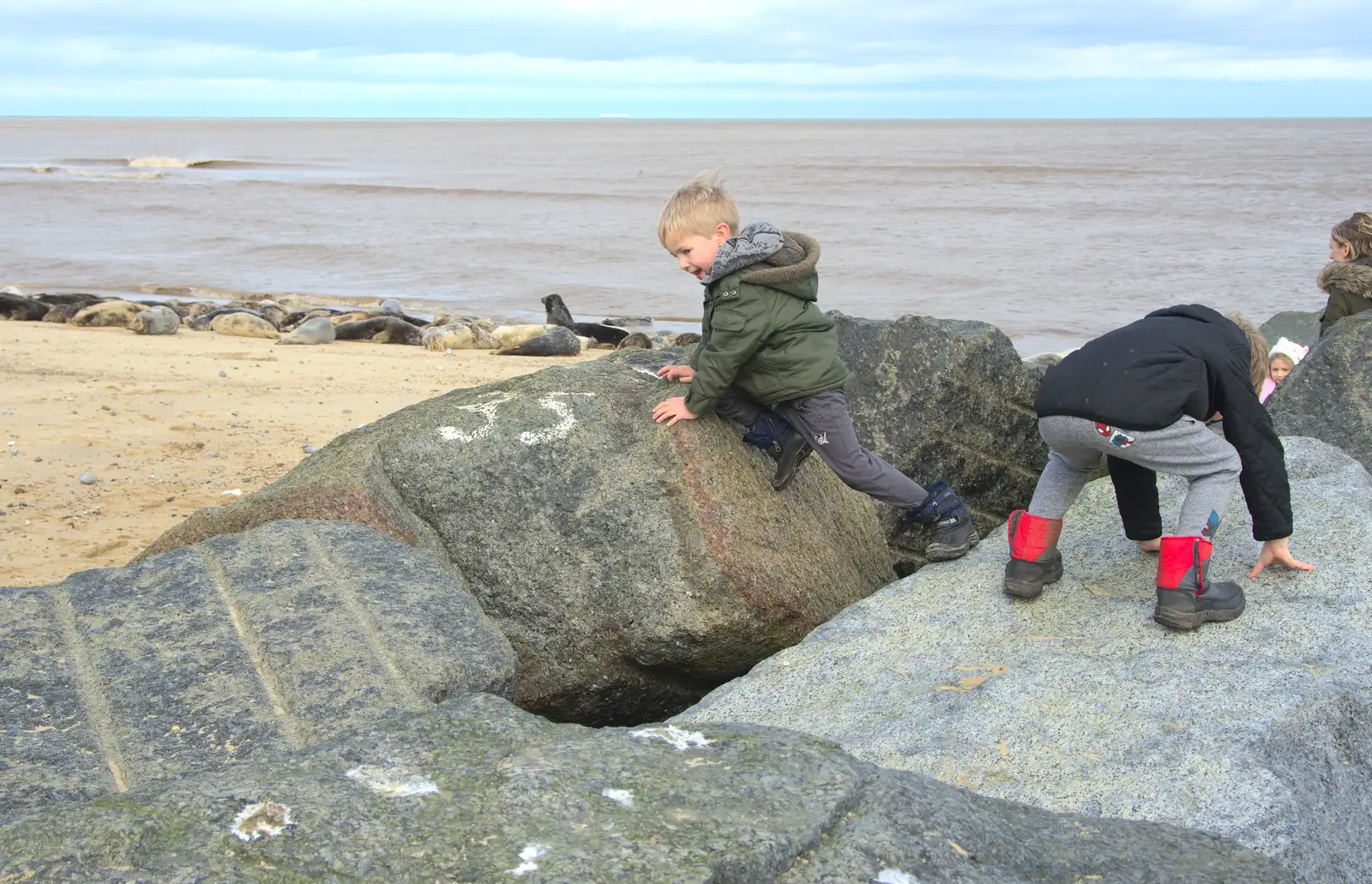 Harry and Fred on the rocks, from The Seals of Horsey Gap, Norfolk - 21st February 2016