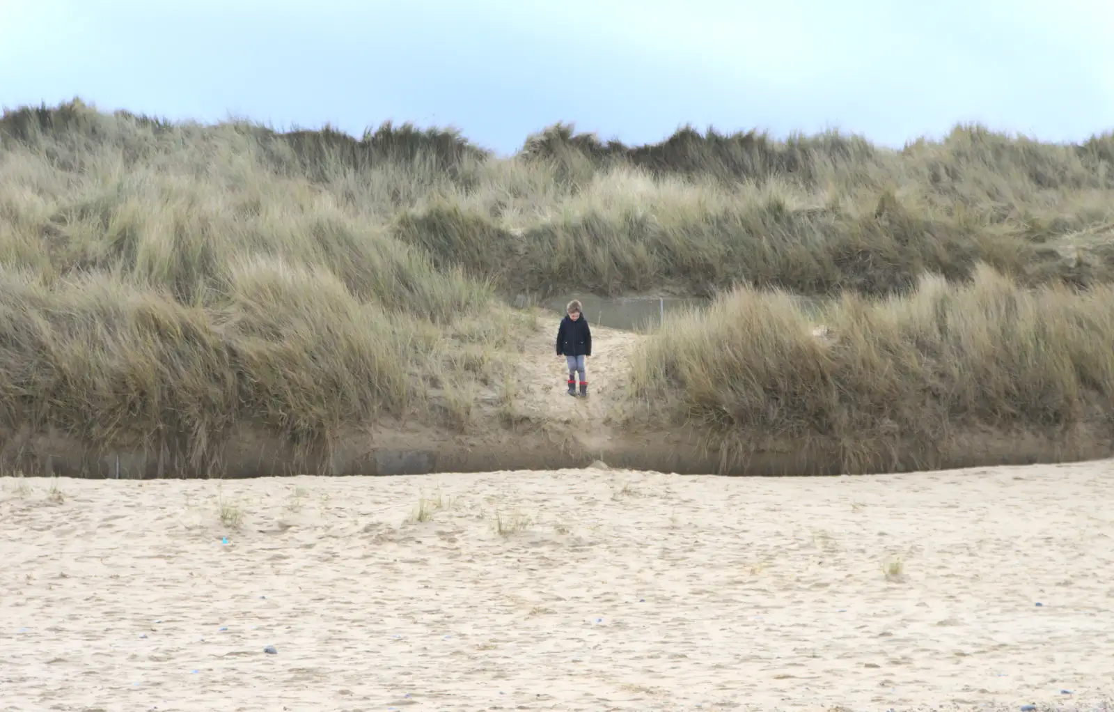 Fred's away in the dunes, from The Seals of Horsey Gap, Norfolk - 21st February 2016