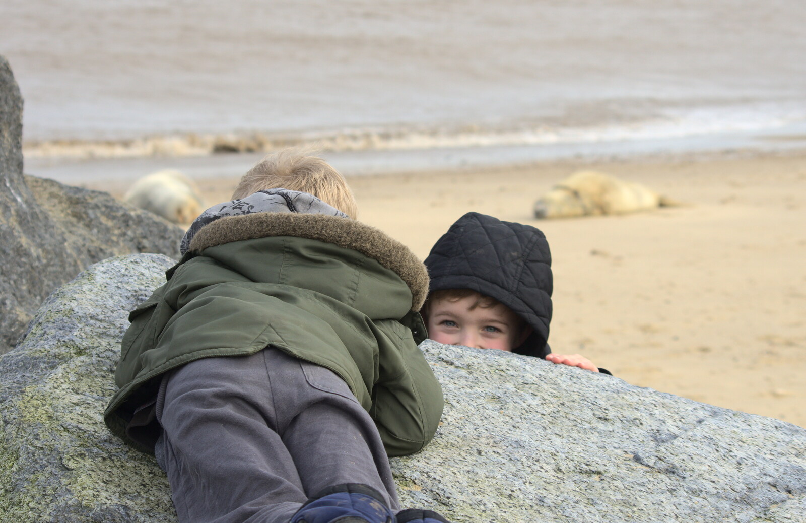 Harry and Fred mess around from The Seals of Horsey Gap, Norfolk - 21st February 2016