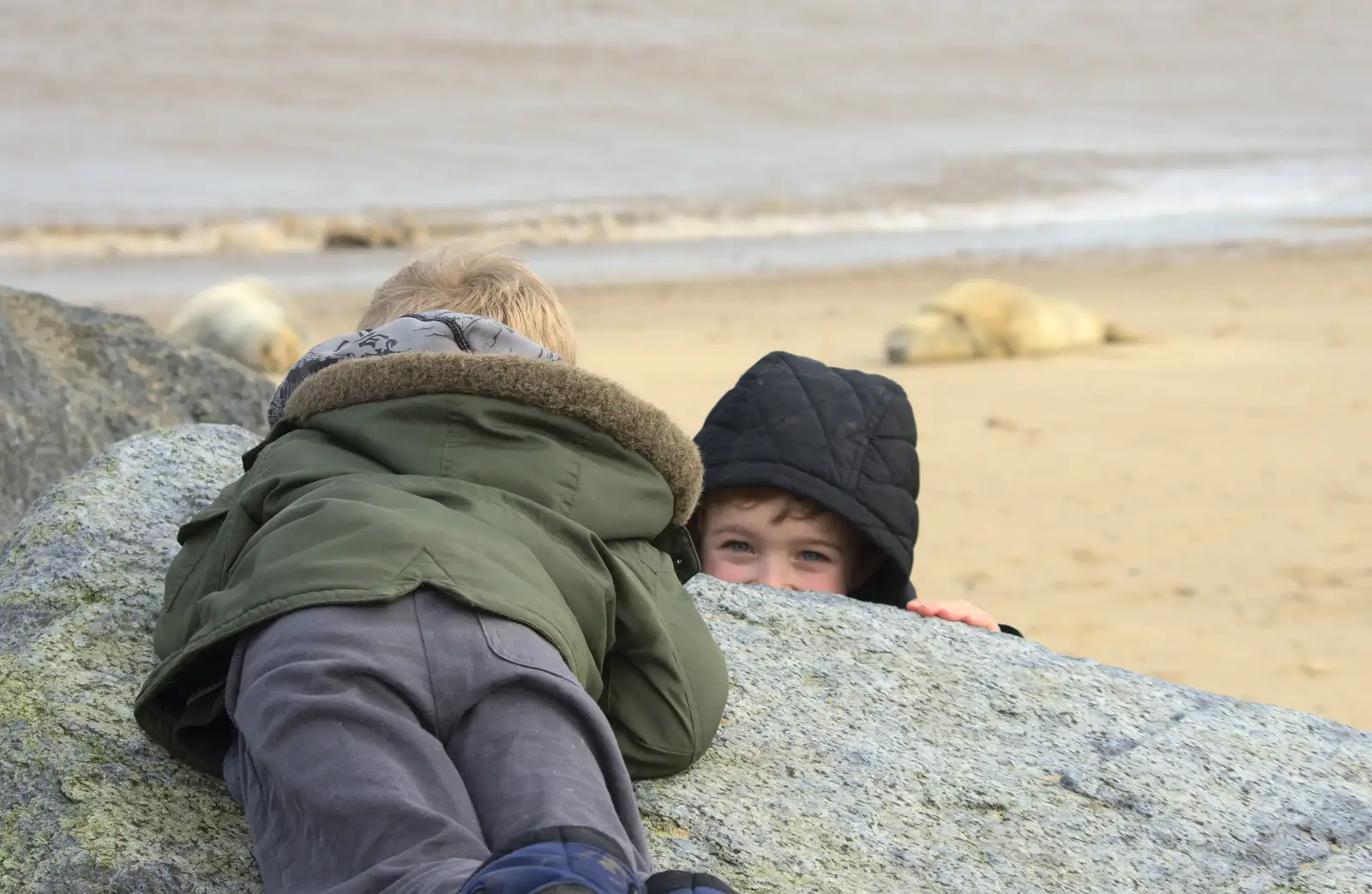 Harry and Fred mess around, from The Seals of Horsey Gap, Norfolk - 21st February 2016