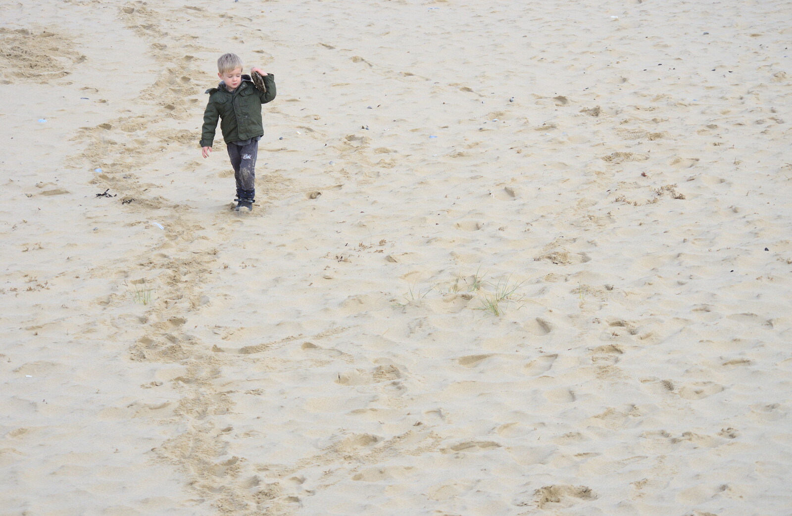 Harry, on the beach from The Seals of Horsey Gap, Norfolk - 21st February 2016