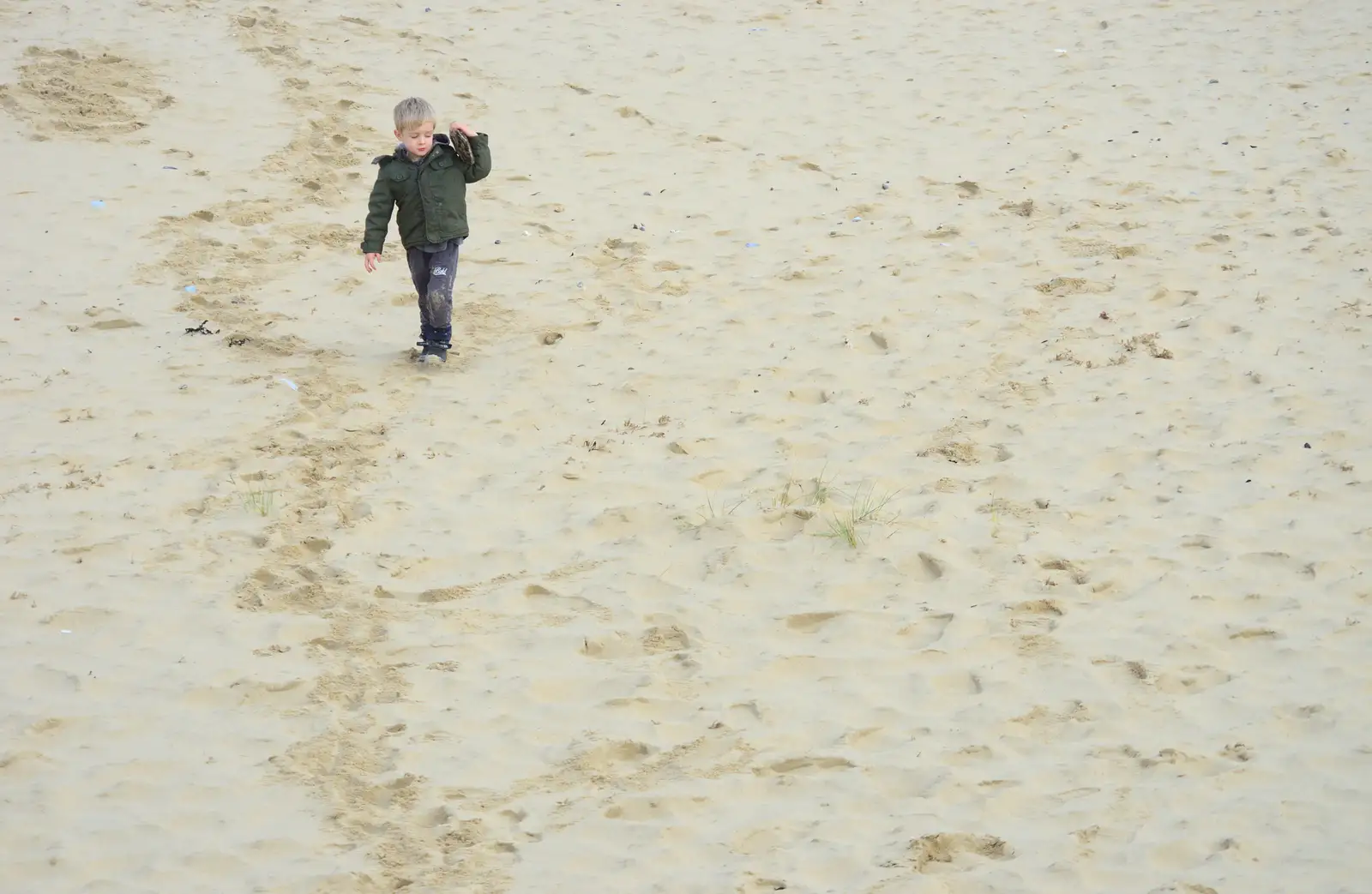 Harry, on the beach, from The Seals of Horsey Gap, Norfolk - 21st February 2016