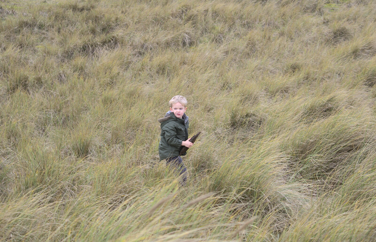 Harry legs it into the long grass from The Seals of Horsey Gap, Norfolk - 21st February 2016
