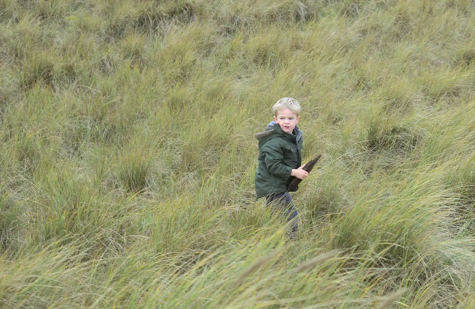 Harry legs it into the long grass, from The Seals of Horsey Gap, Norfolk - 21st February 2016