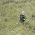 Harry legs it into the long grass, The Seals of Horsey Gap, Norfolk - 21st February 2016