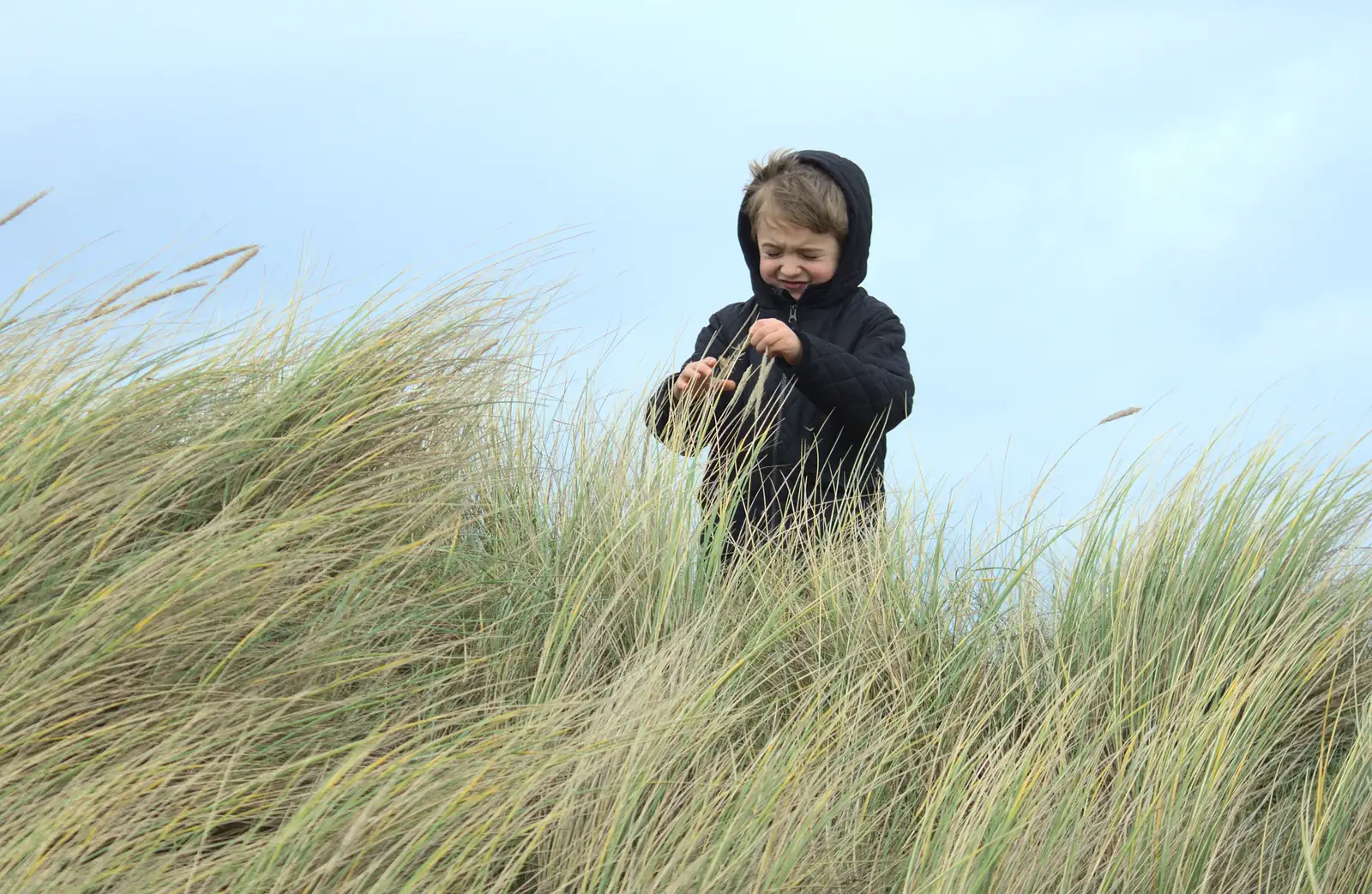 Fred nearly gets blown away in the wind, from The Seals of Horsey Gap, Norfolk - 21st February 2016