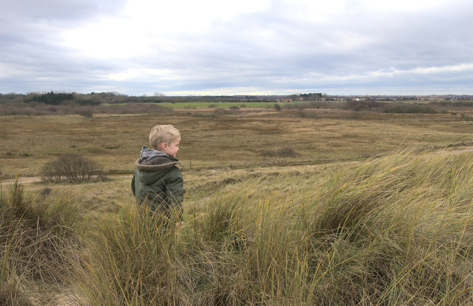 Harry looks out from The Seals of Horsey Gap, Norfolk - 21st February 2016
