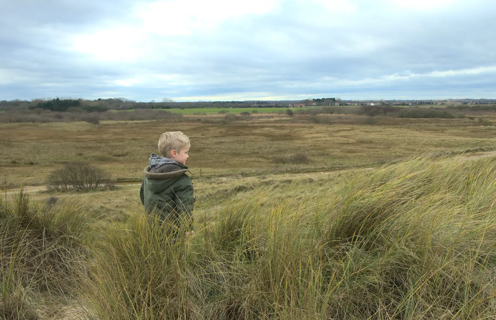 Harry looks out, from The Seals of Horsey Gap, Norfolk - 21st February 2016