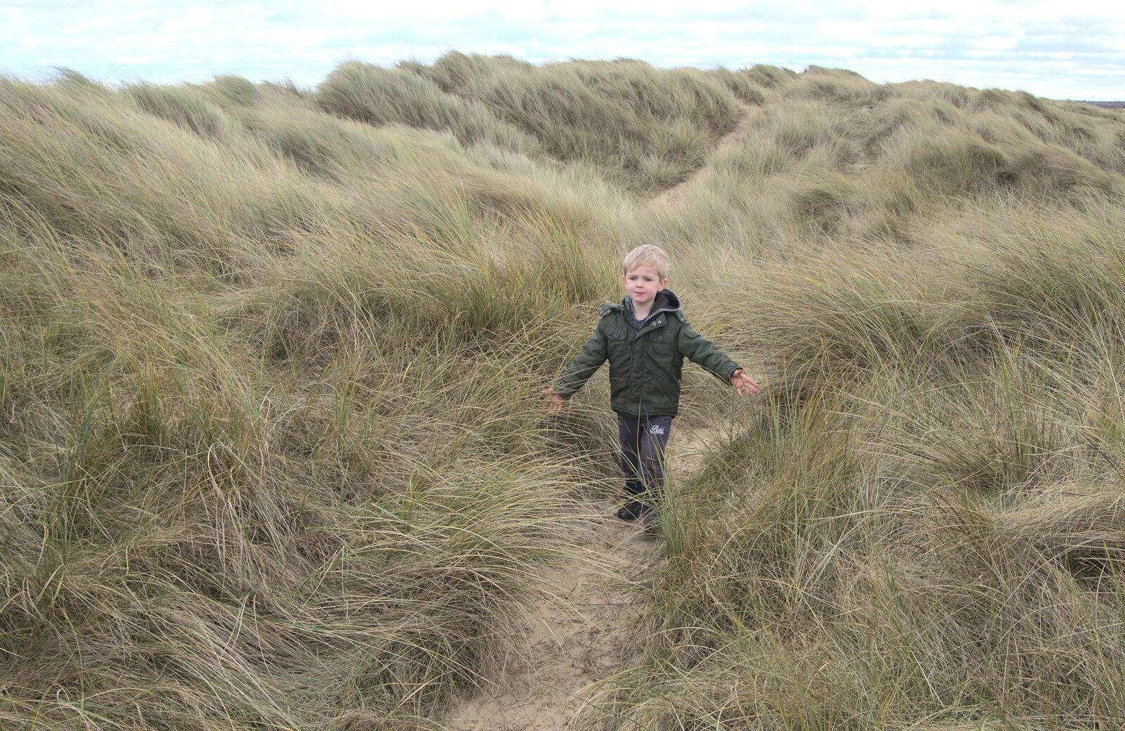 In amongst the sea-grasses from The Seals of Horsey Gap, Norfolk - 21st February 2016