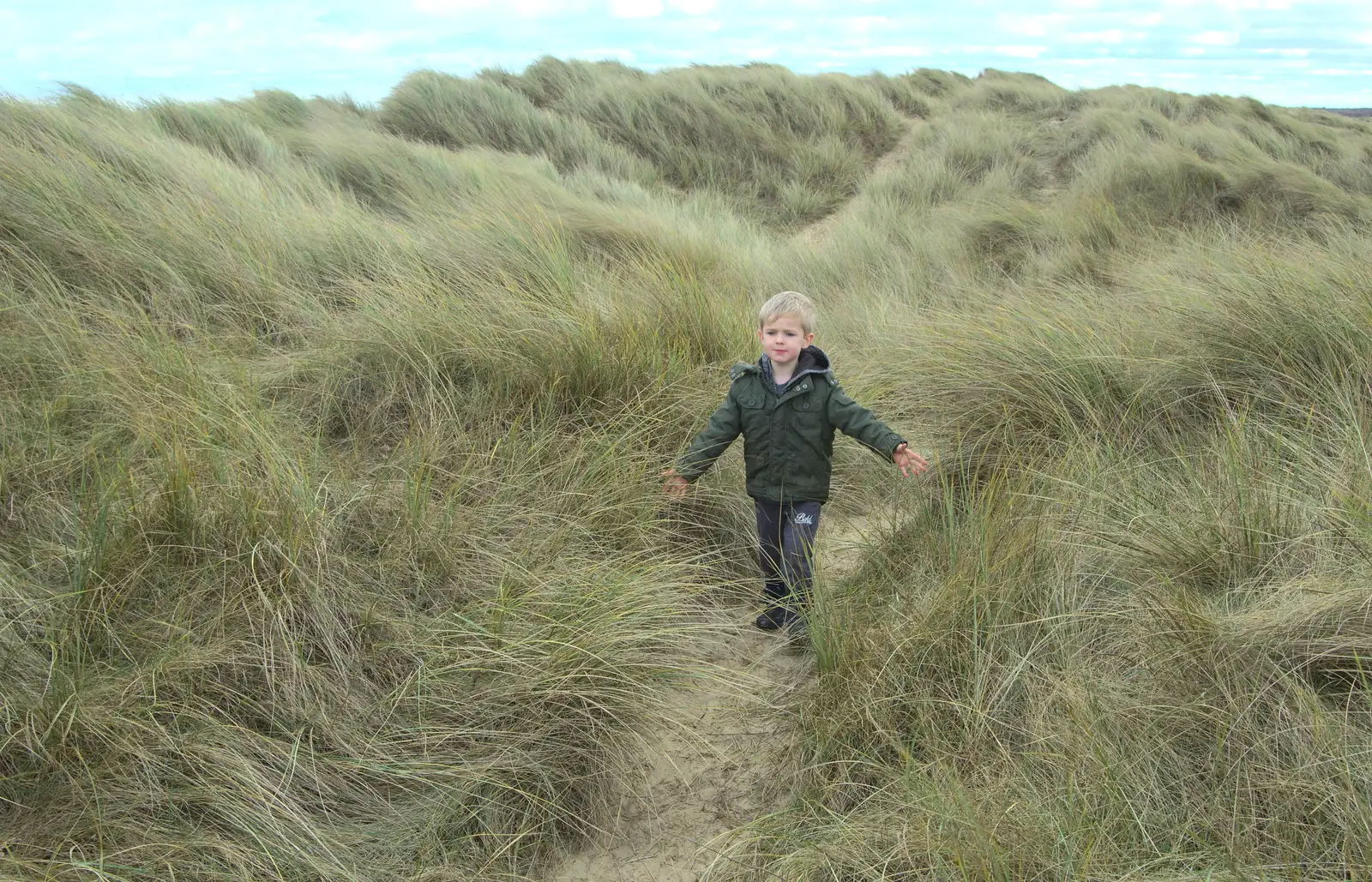 In amongst the sea-grasses, from The Seals of Horsey Gap, Norfolk - 21st February 2016