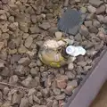 One of loads of dead footballs along the tracks, A SwiftKey Power Cut, Southwark Bridge Road, London - 4th March 2016