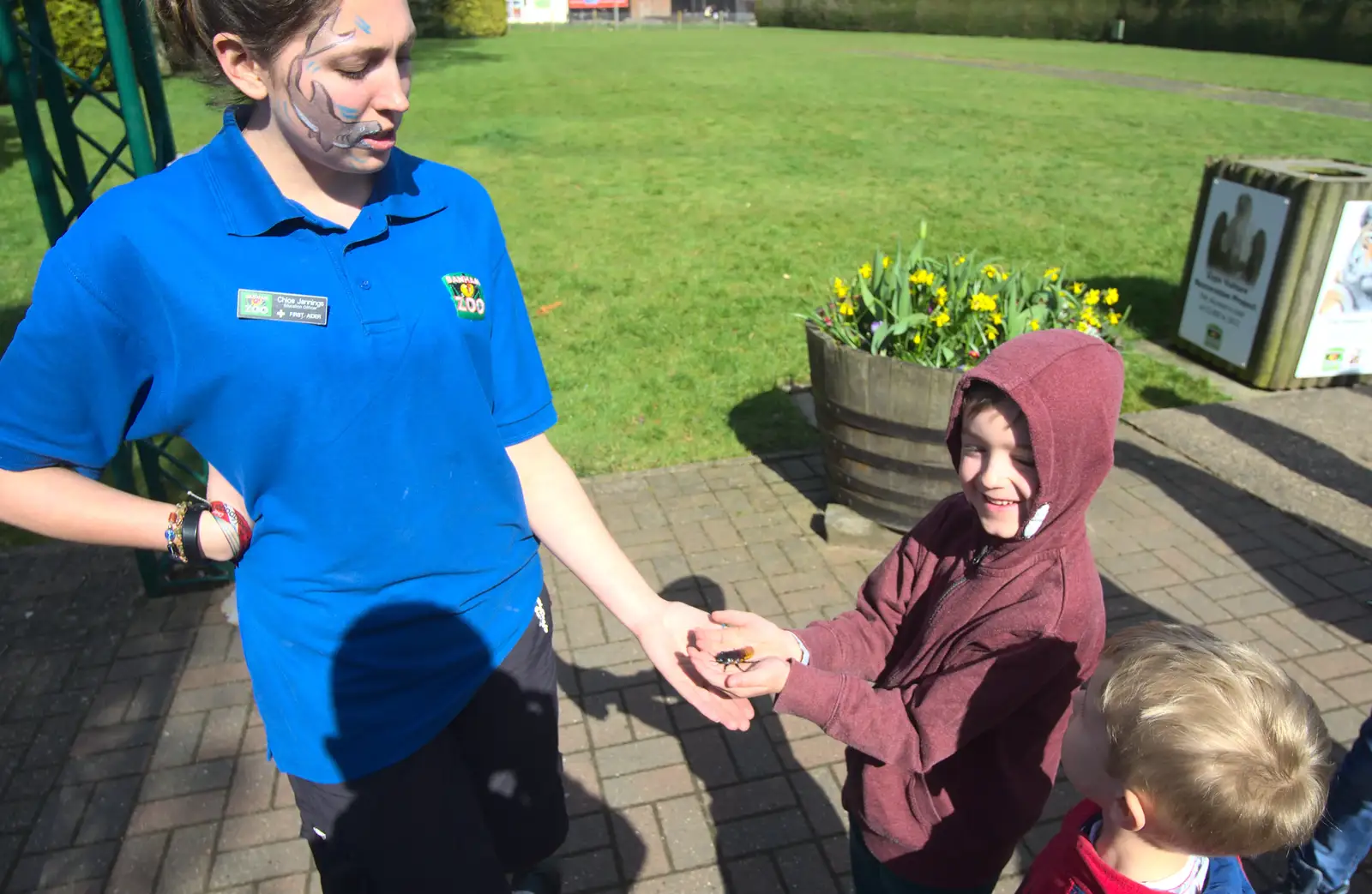 Fred gets a go of a hissing cockroach, from Another Trip to Banham Zoo, Banham, Norfolk - 25th March 2016