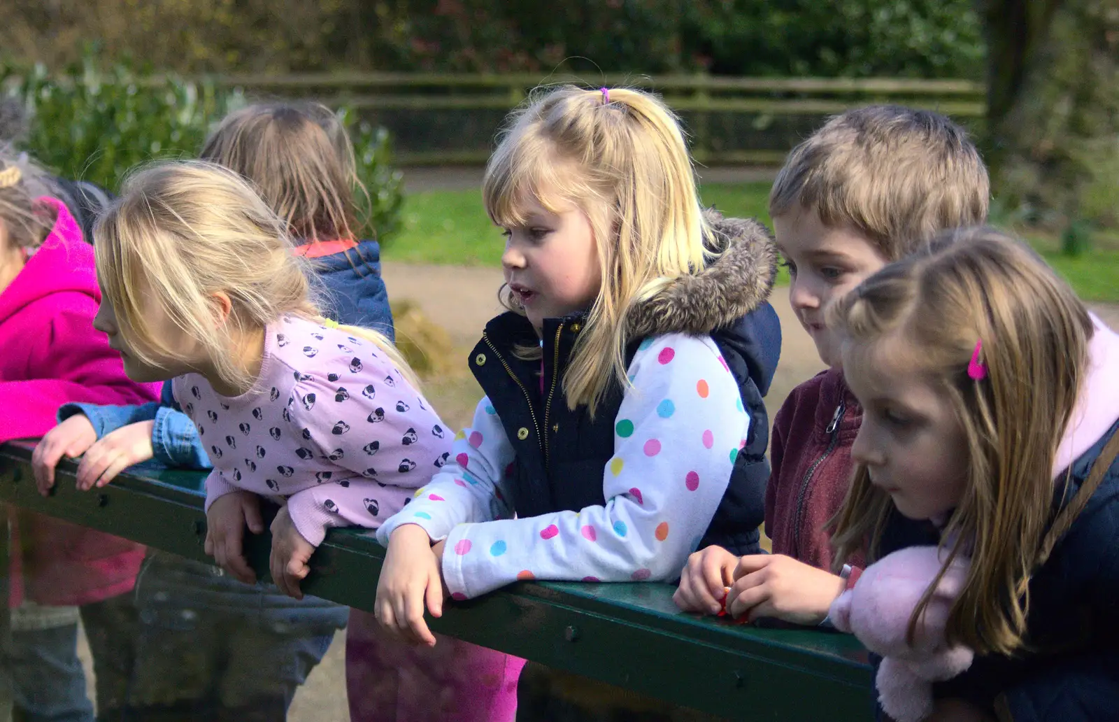 Grace, Fred and Sophie look out, from Another Trip to Banham Zoo, Banham, Norfolk - 25th March 2016