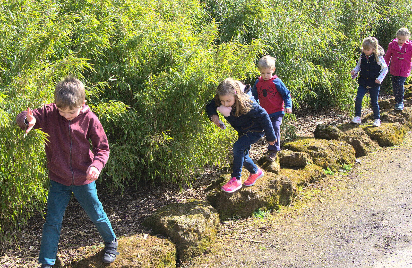 The children walk along a line of stones from Another Trip to Banham Zoo, Banham, Norfolk - 25th March 2016